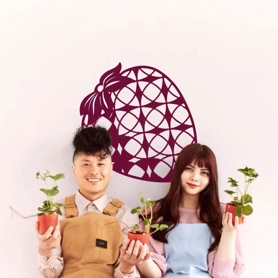 $19 Anhay Farms Single Large (4 count)