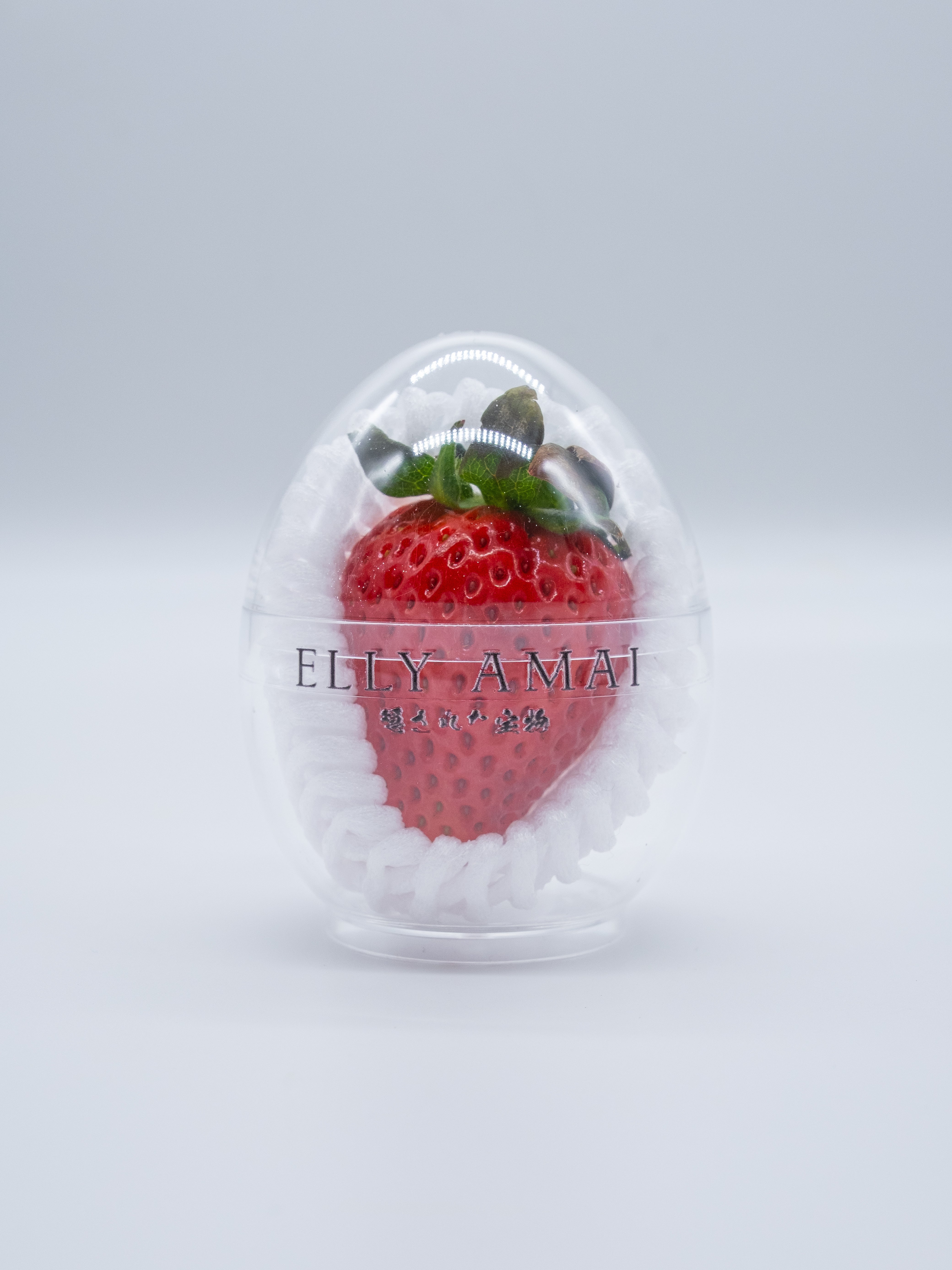 EllyAmai-9.jpg?v=1773429357&