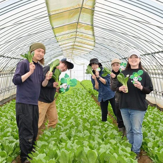 Fusichan Farms Single