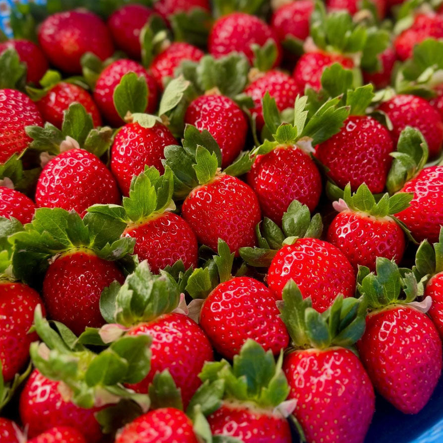 Yajima Farms Box