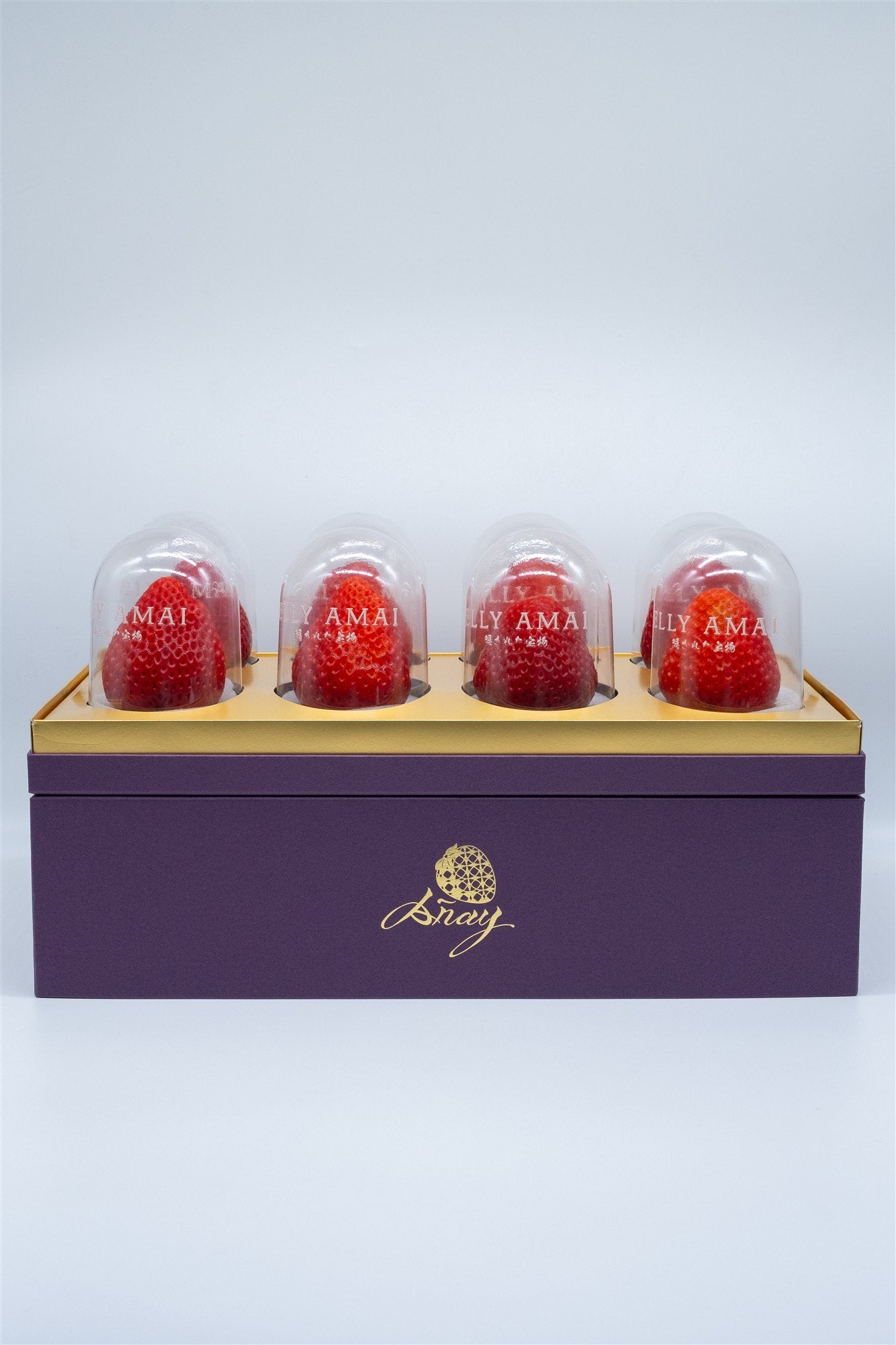 Anhay 8 Dome Gift Box Set