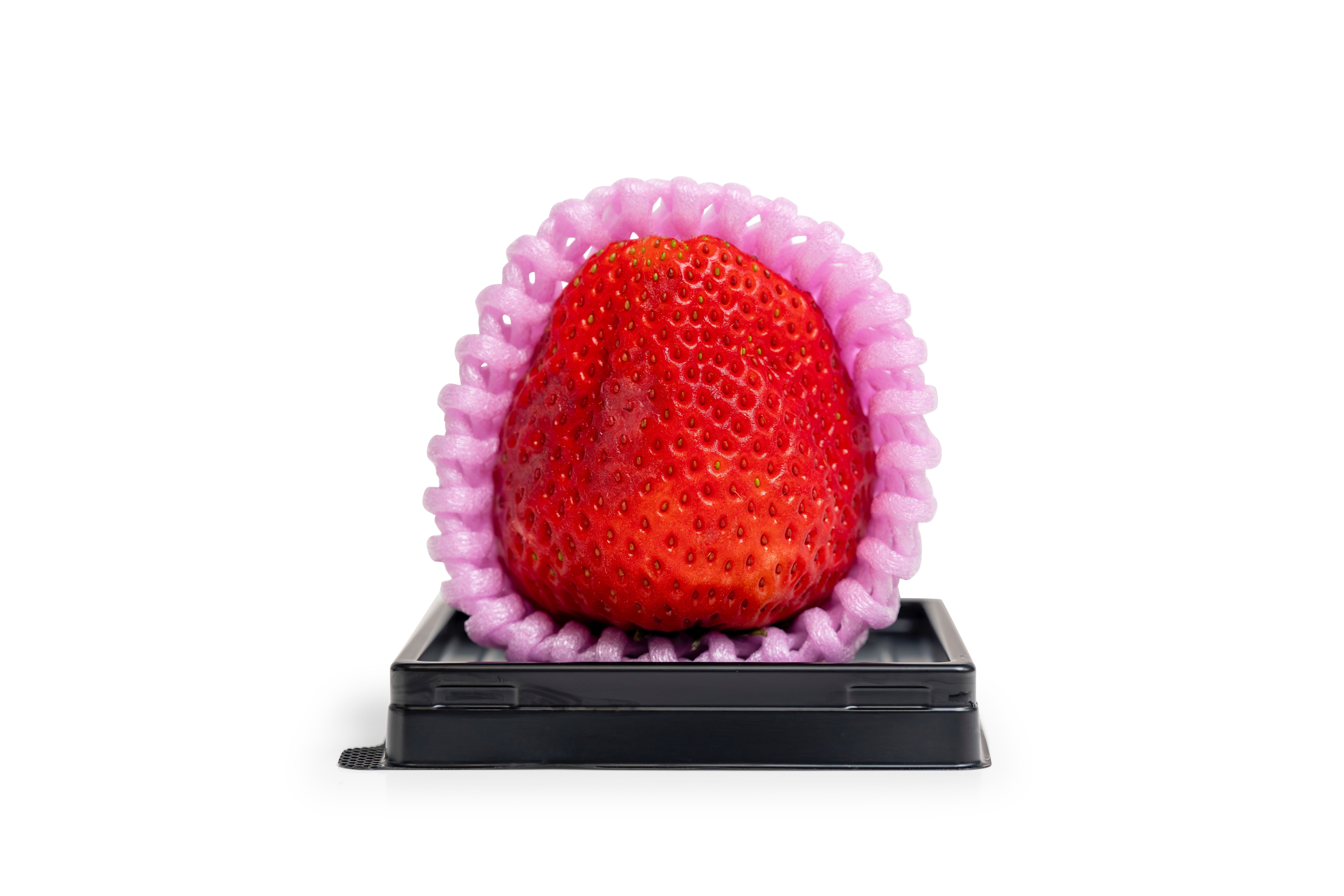 $18 Nara Large Single (6 count)